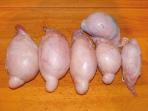 Hammelhoden_frisch