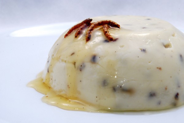 Vanillepudding mit karamellisierten Mehlwürmern