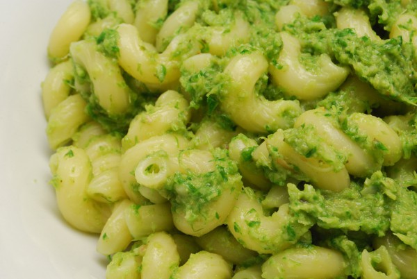 Sehr aromatisches Pesto mit Pasta