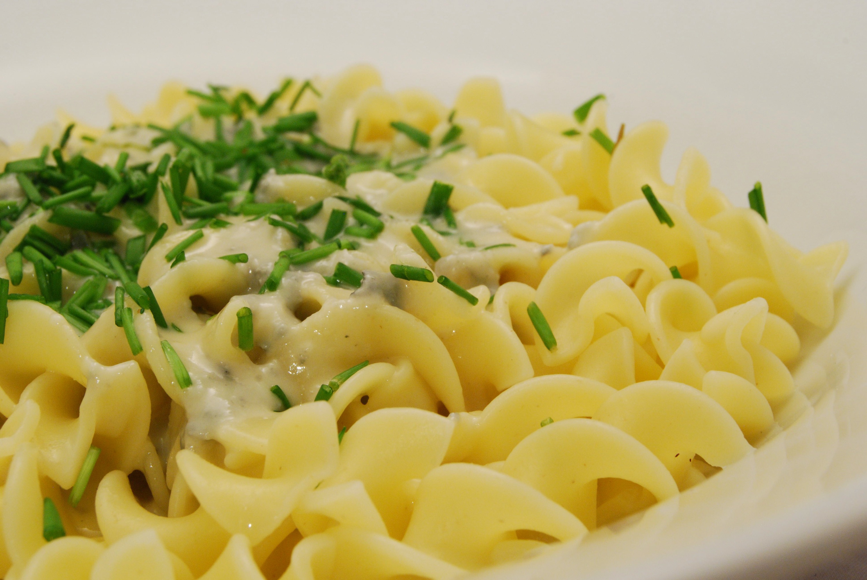 Gedrehte Bandnudeln mit Gorgonzola-Sauce - Nudelheissundhos