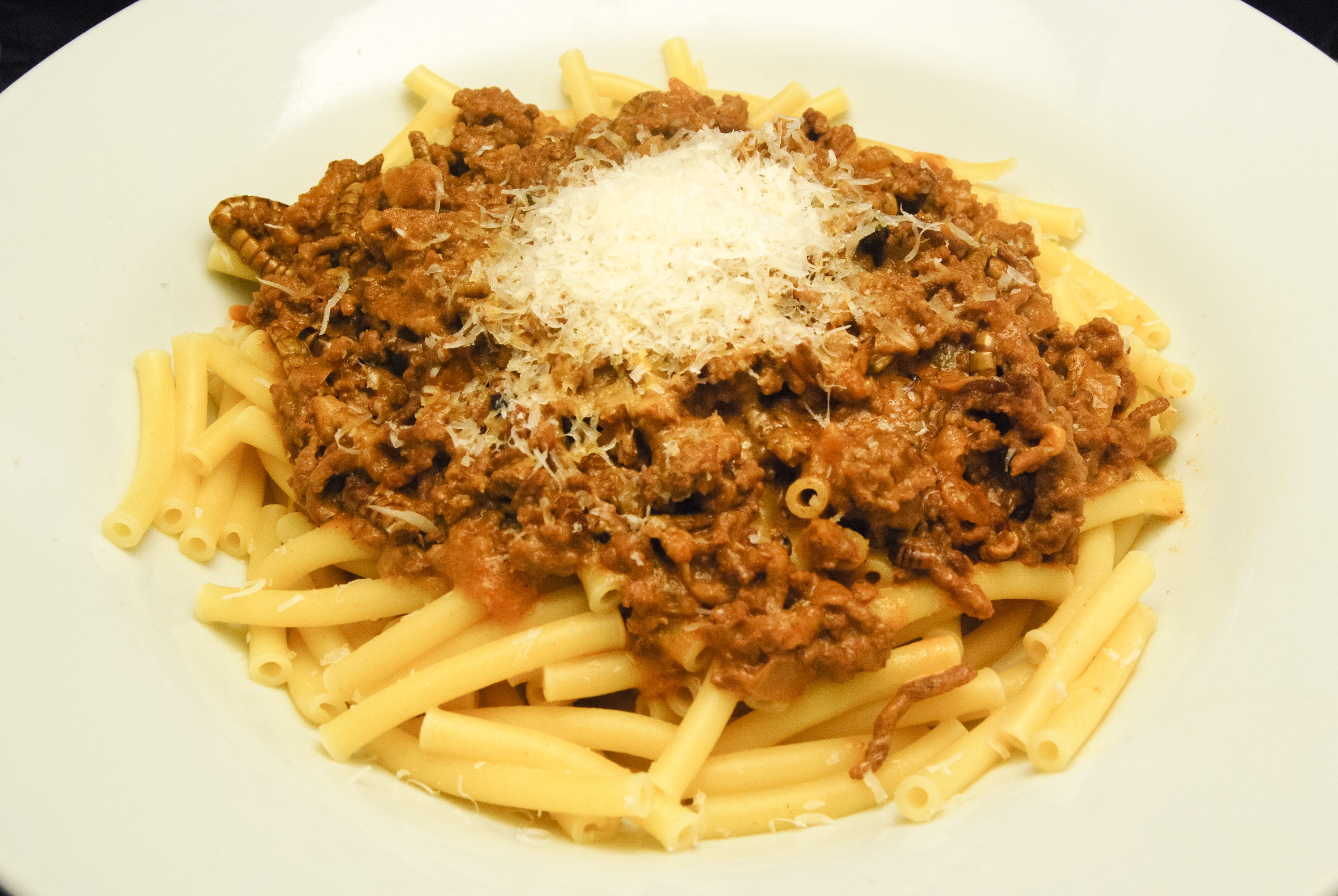 Ragout aus Hackfleisch und Riesenmehlwürmern mit Cognac-Curry-Sahne ...