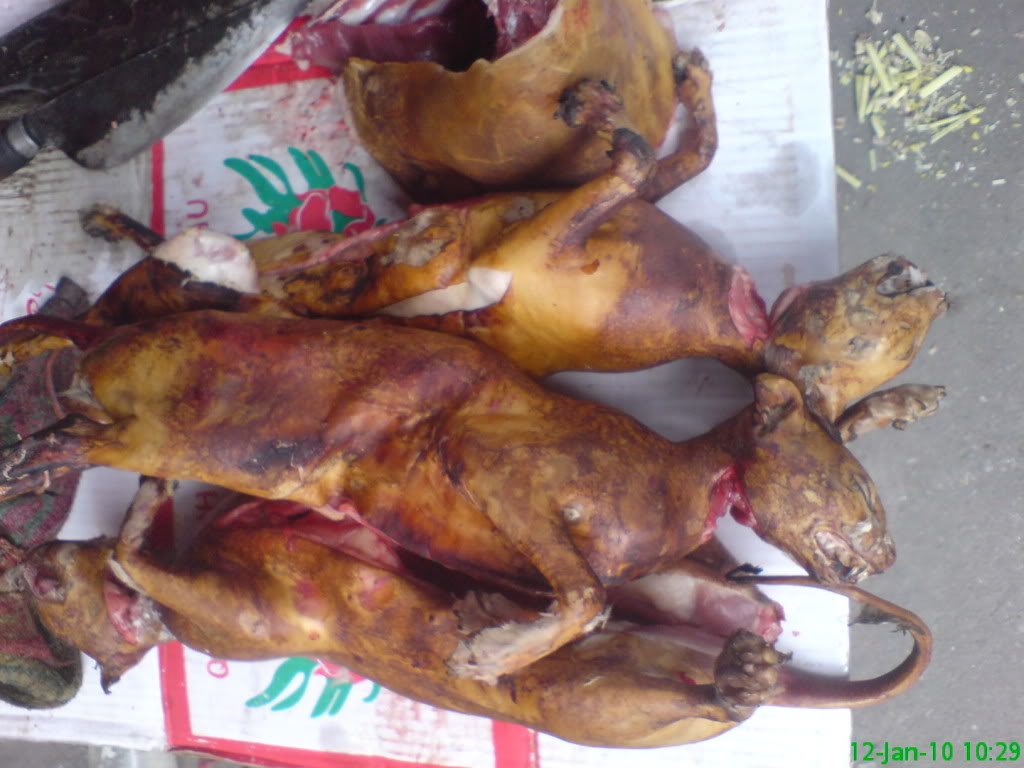 Katzenbraten Mit Kartoffeln Und Brokkoli Nudelheissundhos