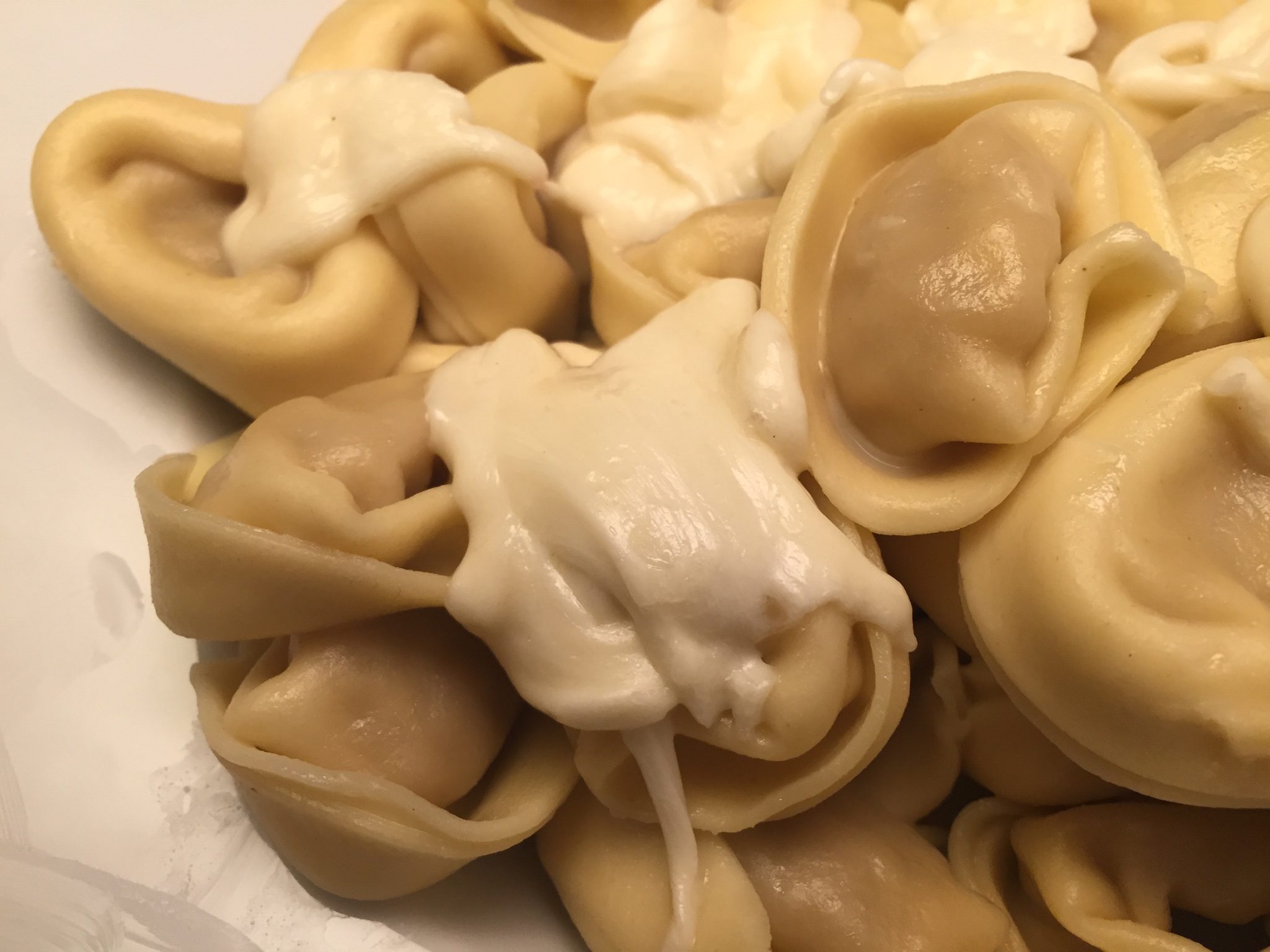 Tortellini mit Mozzarella