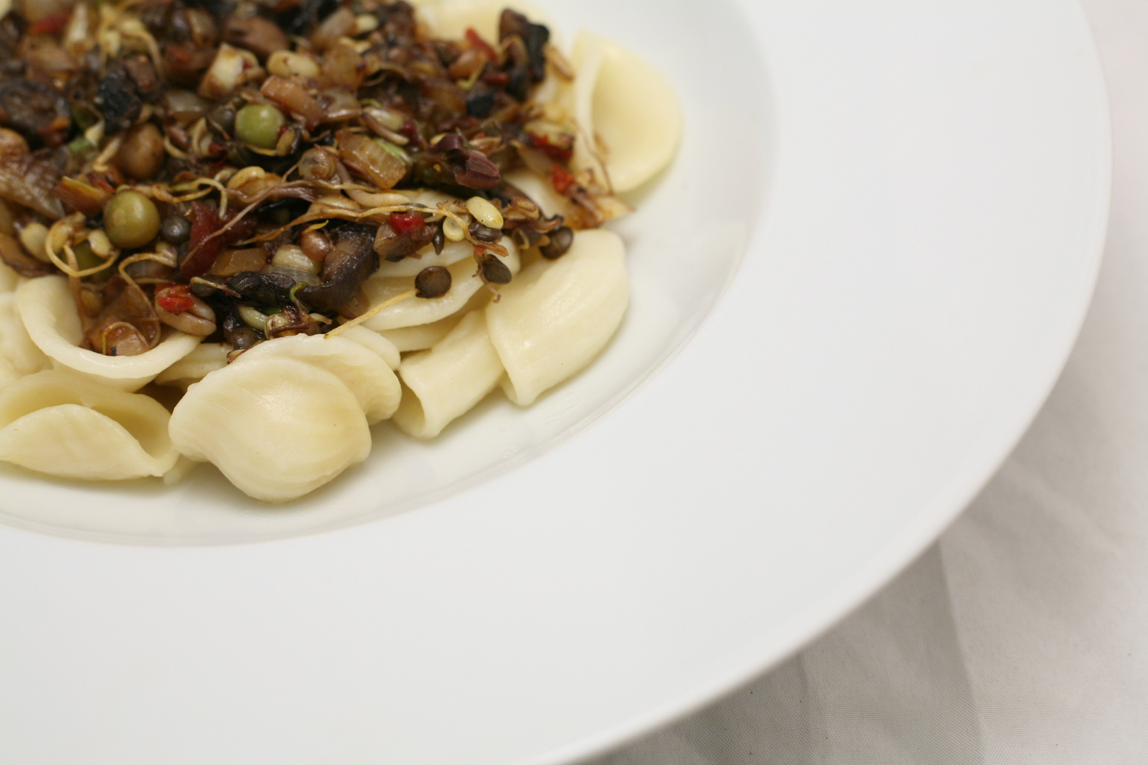 Orecchiette mit Sprossen-Gemüse-Potpourri