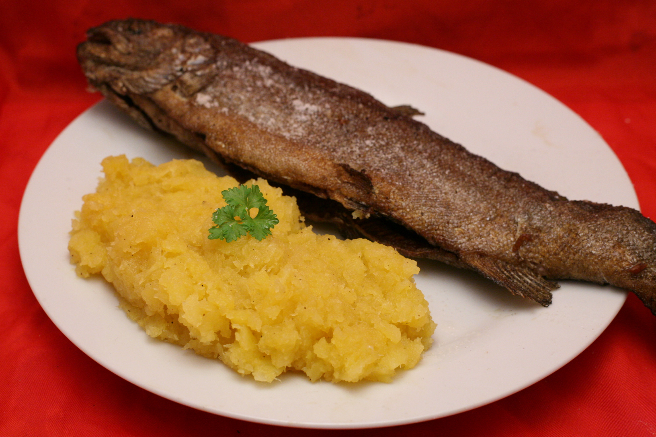 Frittierte Lachsforelle mit Steckrübenstampf