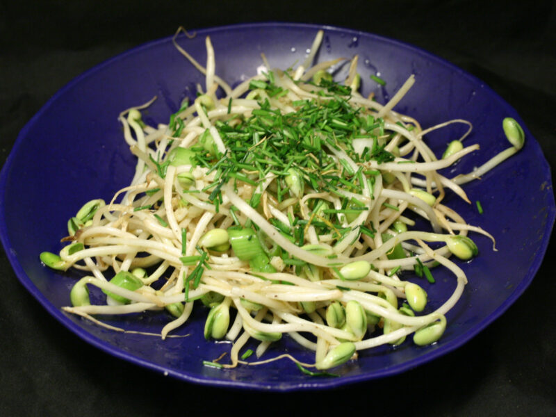 Sojabohnensprossen-Salat
